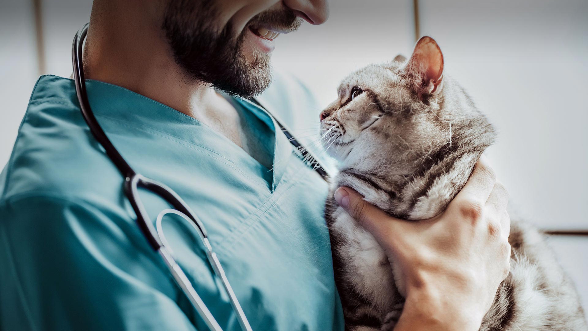 Kemalpaşa Veteriner